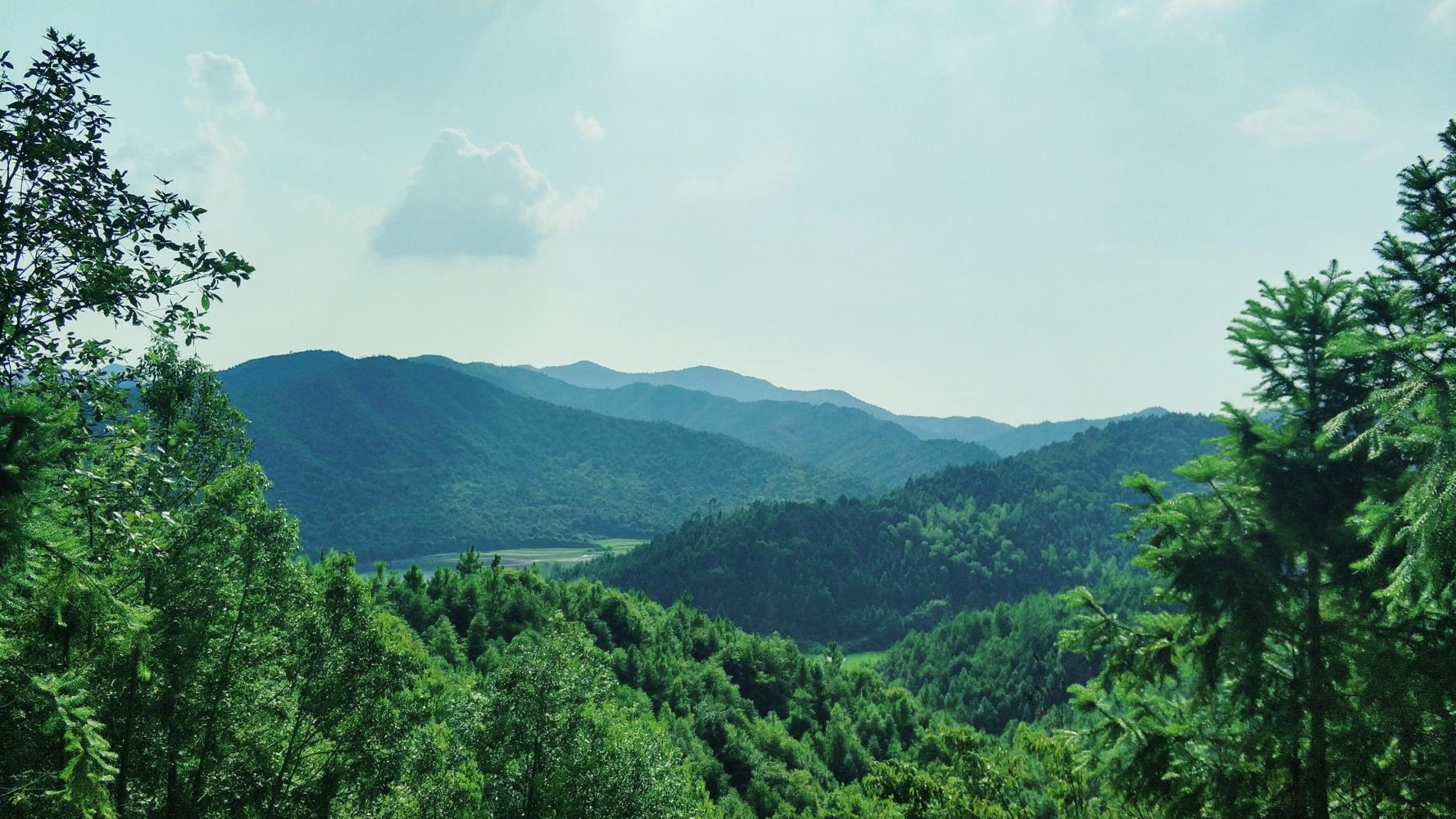 喜讯！我公司获《临川梦山产业综合体建设项目概念性规划设计方案》全国竞标第一名！